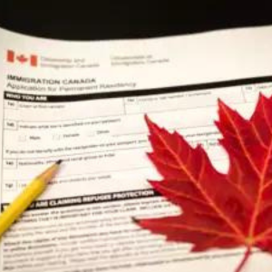 Canada to process only half of the visa applications from India by the end of 2023